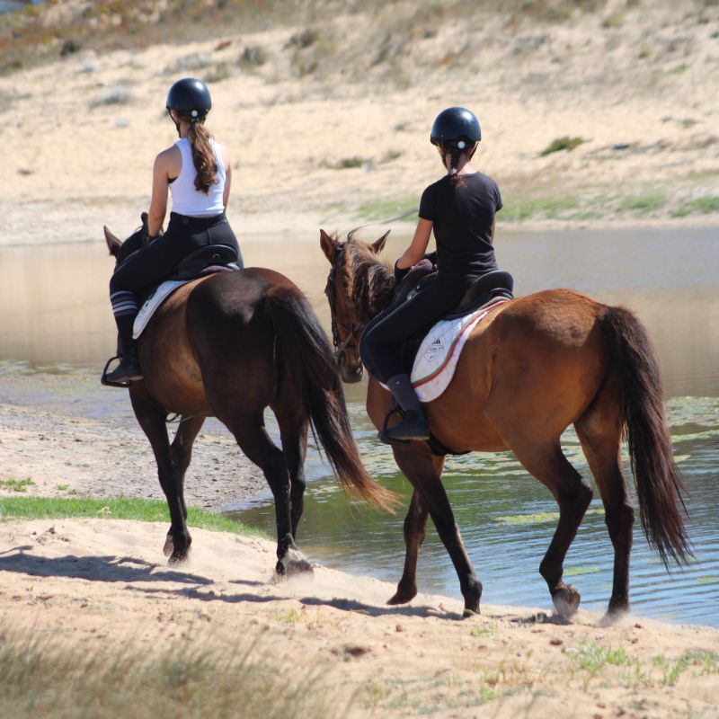 Passeio a cavalo na praia em grupos